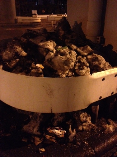 my hometown snow.JPG